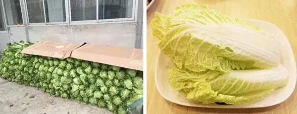 如何制定智能篮球训练计划_1